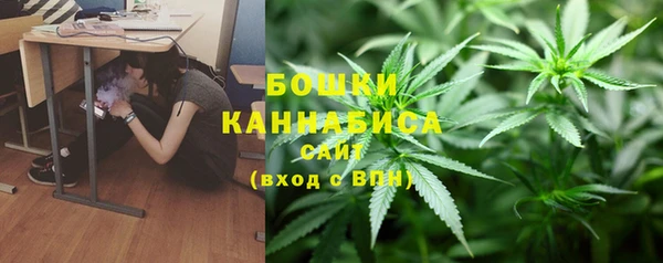 дмт Ленск