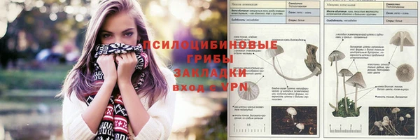 сатива Вязьма