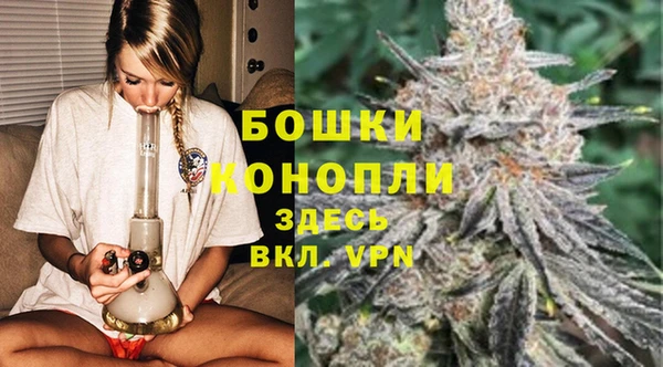 дмт Ленск