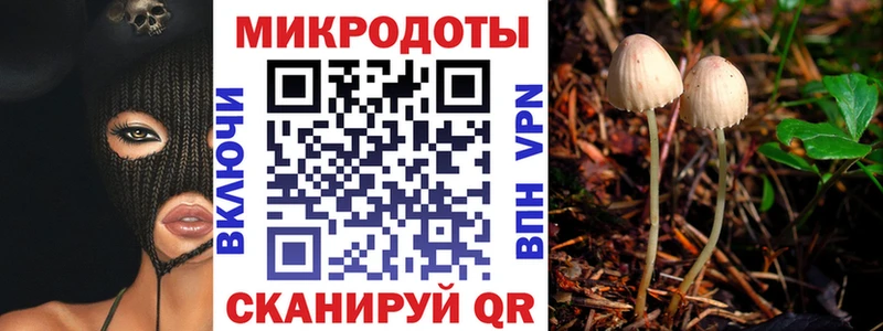 Галлюциногенные грибы Psilocybine cubensis  сколько стоит  Онега 