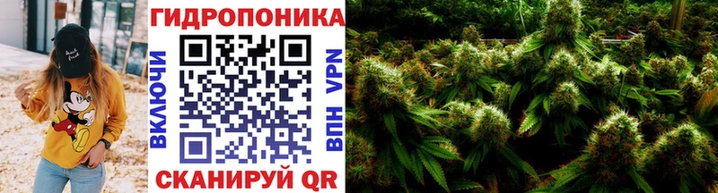 Конопля THC 21%  магазин продажи   Онега 
